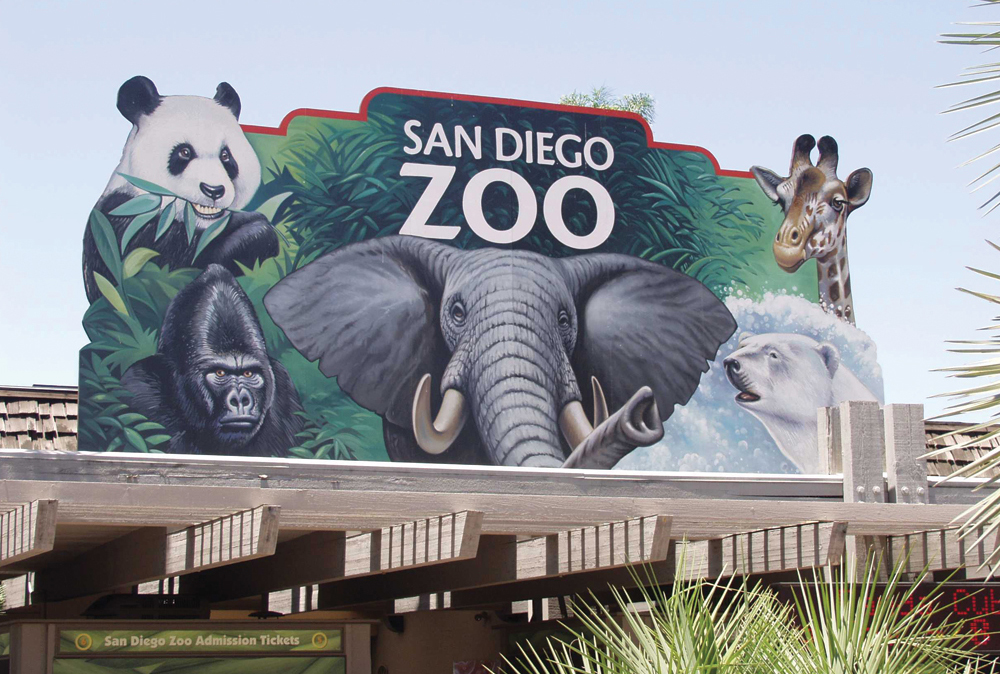 San Diego zoo billboard
